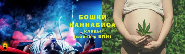 PSILOCYBIN Алзамай